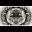 Phage