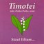 Sicut lilium