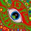 The Psychedelic Sounds of the 13th Floor Elevators (2008 Remaster)