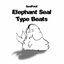 Elephant Seal Type Beats