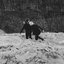 How Could I've Misunderstood? - Single