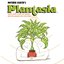 Plantasia (Mother Earth's Plantasia: Warm Earth Music For Plants... And The People Who Love Them)