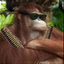 Avatar for FiringBeard
