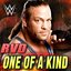 One of a Kind (Rob Van Dam)
