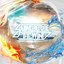Revised Elements