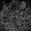 Macabrum Bestia Ex Abyssus