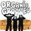 Organic Grooves 4- Live in NYC