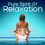 Pure Spirit Of Relaxation - 2 hour Escape with the most Beautiful Relaxing Music