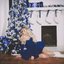 Blue Christmas ...duh - Single