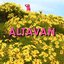 ALTAVAN