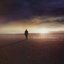Introspection