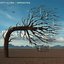 Opposites - The Land at the End of Our Toes