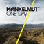 One Day / Reckoning Song (Wankelmut Remix)