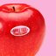 Apple Tree