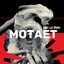 Мотает