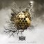 Colony Collapse Disorder