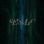 Seismic