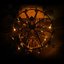 The Dragon Age