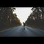 Like Wild - Single