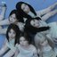Blue Valentine (MIXX Ver.)