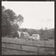 The Horses - EP