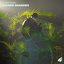 Chasing Shadows - Single