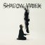 Shadow Work