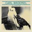 Carl Broemel - All Birds Say album artwork