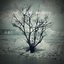 Our Living Memory