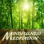 Mindfulness Meditation