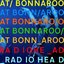 Live at Bonnaroo (Disc 2)