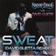 Sweat (Snoop Dogg vs. David Guetta) (remix)