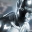 Silversurfer73 için avatar