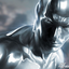 Avatar for Silversurfer73