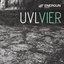 Vier