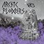 Arctic Flowers