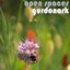 Open Spaces