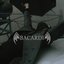Bacardi - Single