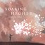 Soaring Higher - Single