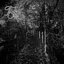 Wistful Longing and Deranged Emptiness