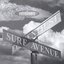 Surf Avenue