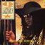 Goodbye Horses (Extended Mix) - Single