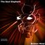 Broken Mind