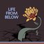 Life from Below