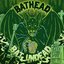 Bat Undead