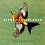 Birds and Airplanes