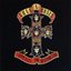 Guns N' Roses - Appetite For Destruction