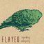 Flayed - EP
