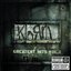 Korn: Greatest Hits, Vol. 1 (Audio Version)