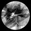 Sly Contrast EP
